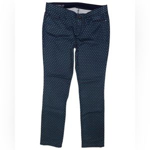 Ann Taylor Jeans Pants Modern Fit Size 8